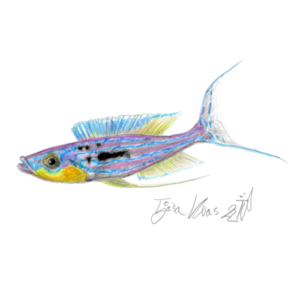 Tanganjiška princesa