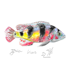 Viktorijanski ostrižnik 3